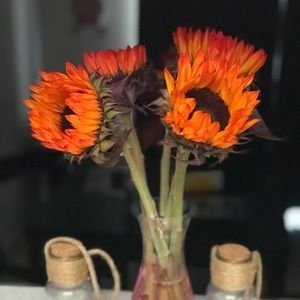 Meet your Posher, Carrie